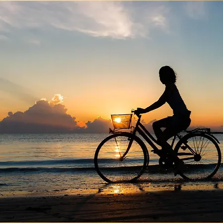 Daire Ahlbeck Remise Uppsala Heringsdorf